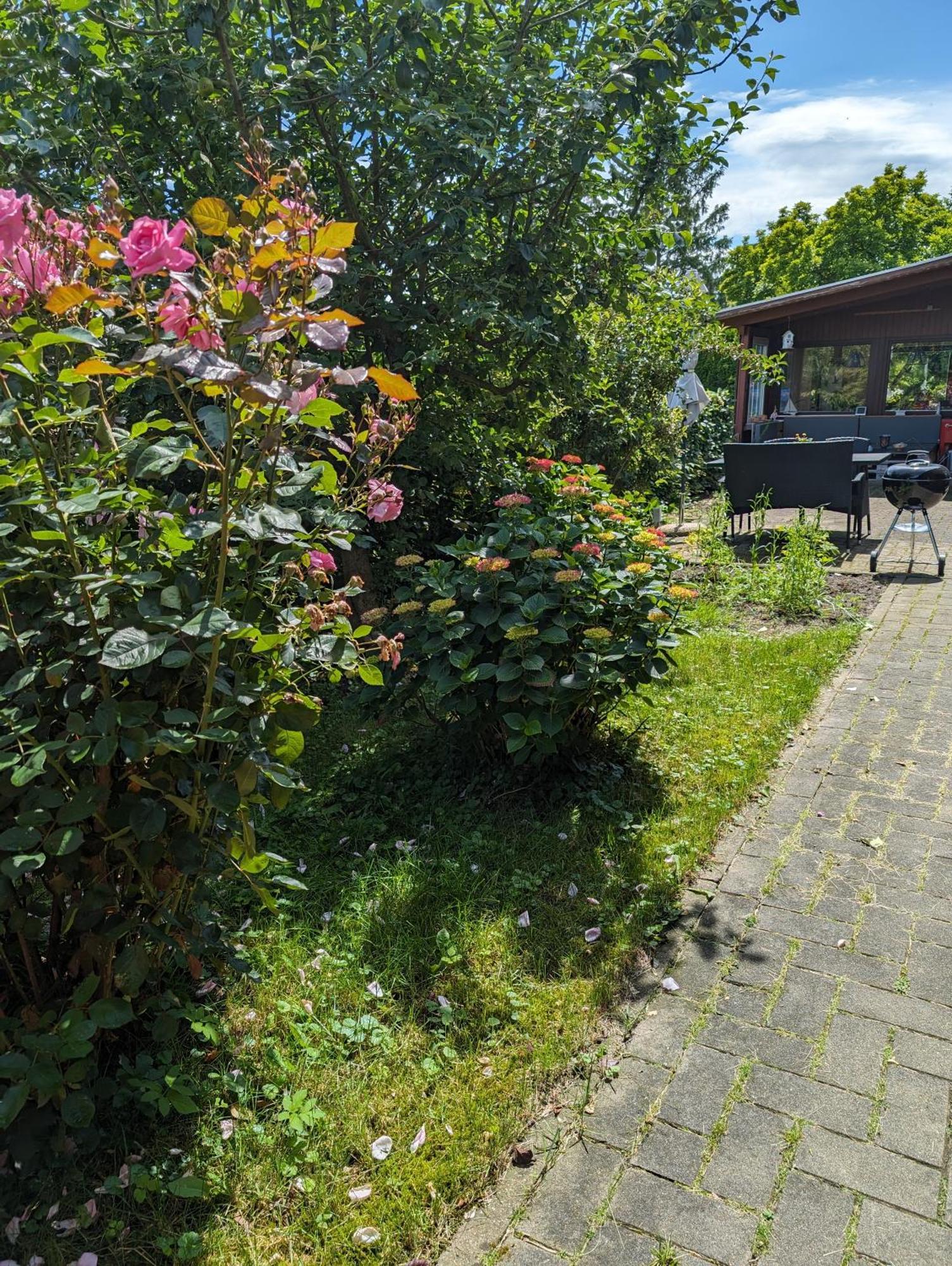 Ferienwohnung Bullersberg Balge Zewnętrze zdjęcie